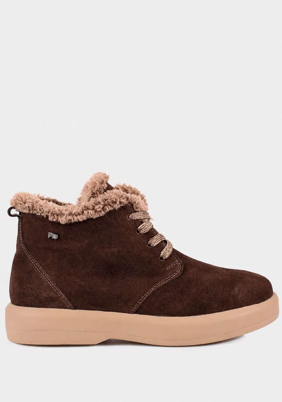 240881(82)